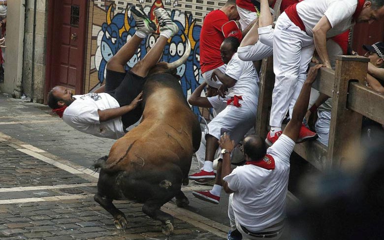 Bull Running