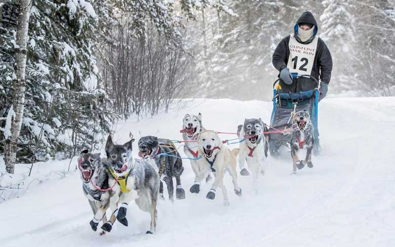 Iditarod