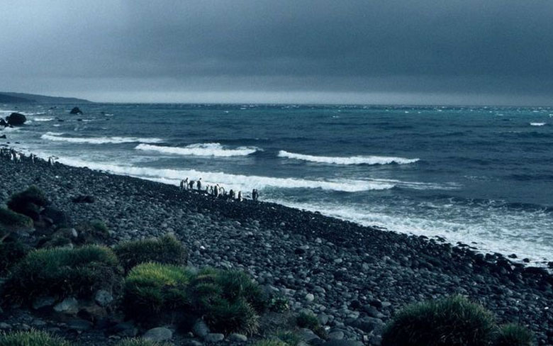 Heard Island, Antarctica