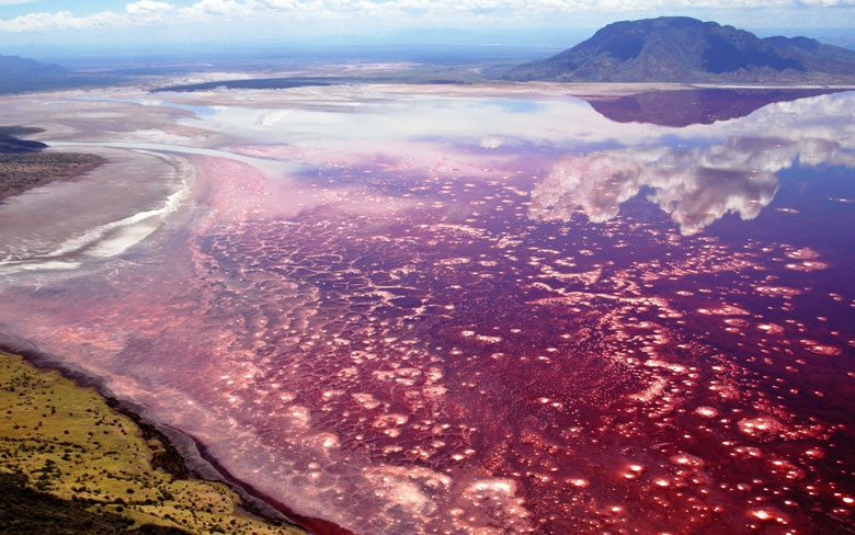 Lake Natron