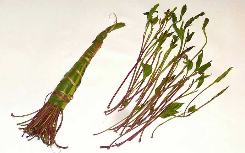 Khat