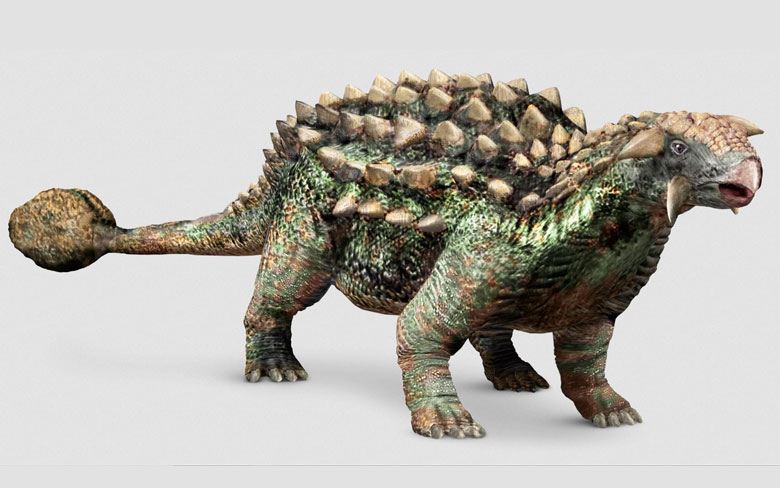 Ankylosaurus