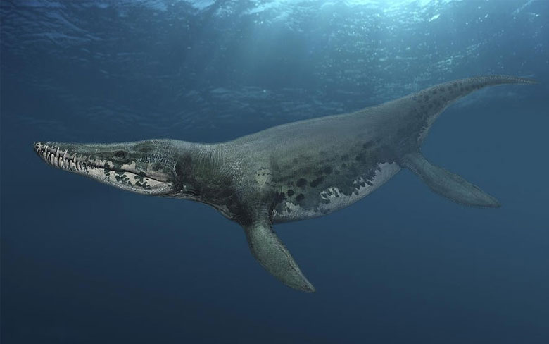 Kronosaurus