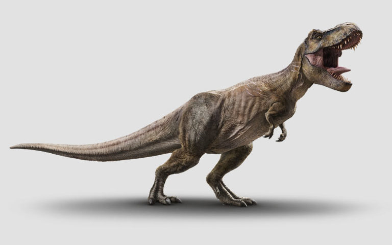 tyrannosaurus rex period