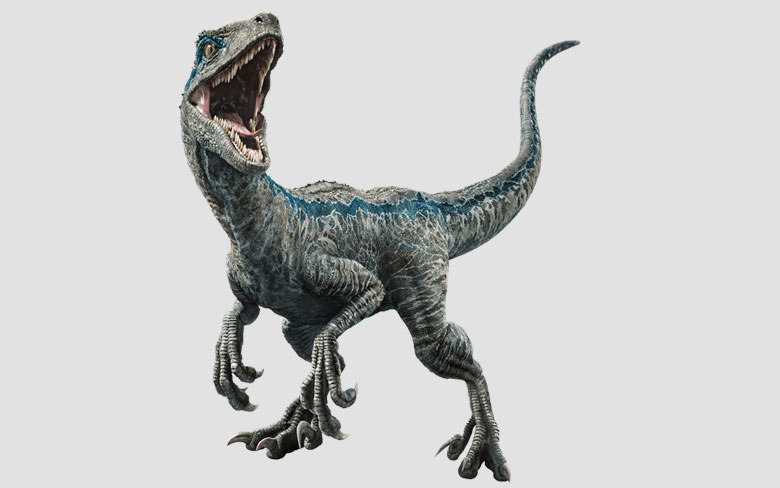 Velociraptor