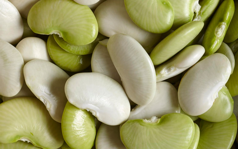 Lima Beans