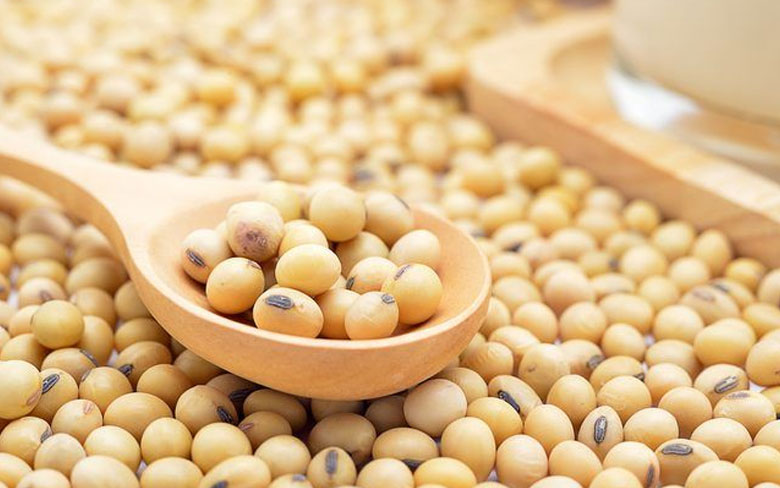 Soya Beans