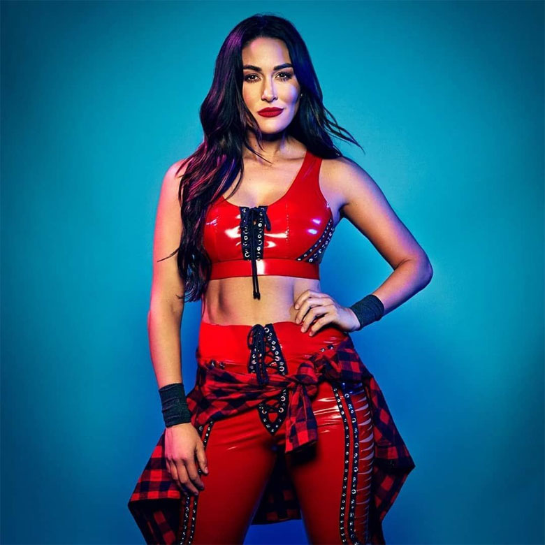 Brie Bella Net Worth